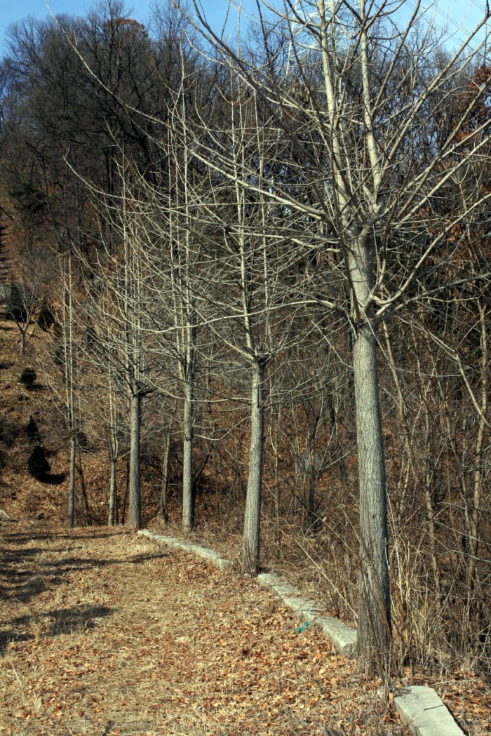 971878aa2ea08a0ecb11b3d6da4adadb_1703578091_8785.JPG